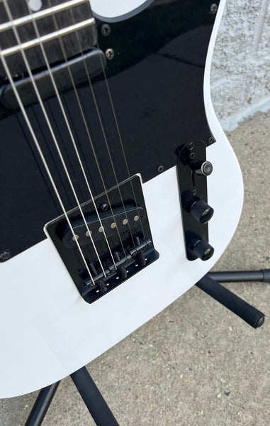 GAMMA Custom TG24-02,  Delta Star Guitar, Polar White