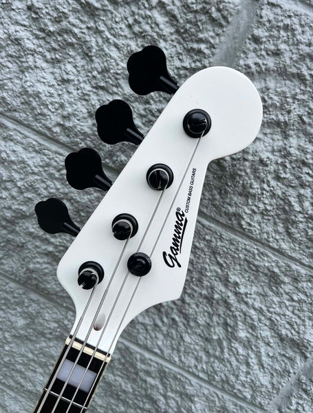 GAMMA Custom H26-01, Kappa Model, Artic White