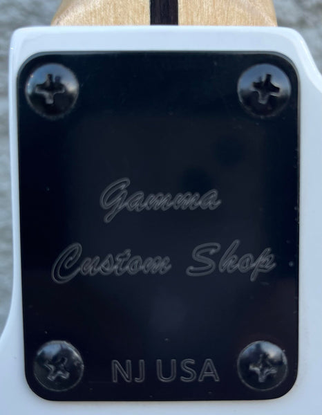 GAMMA Custom TG24-02,  Delta Star Guitar, Polar White